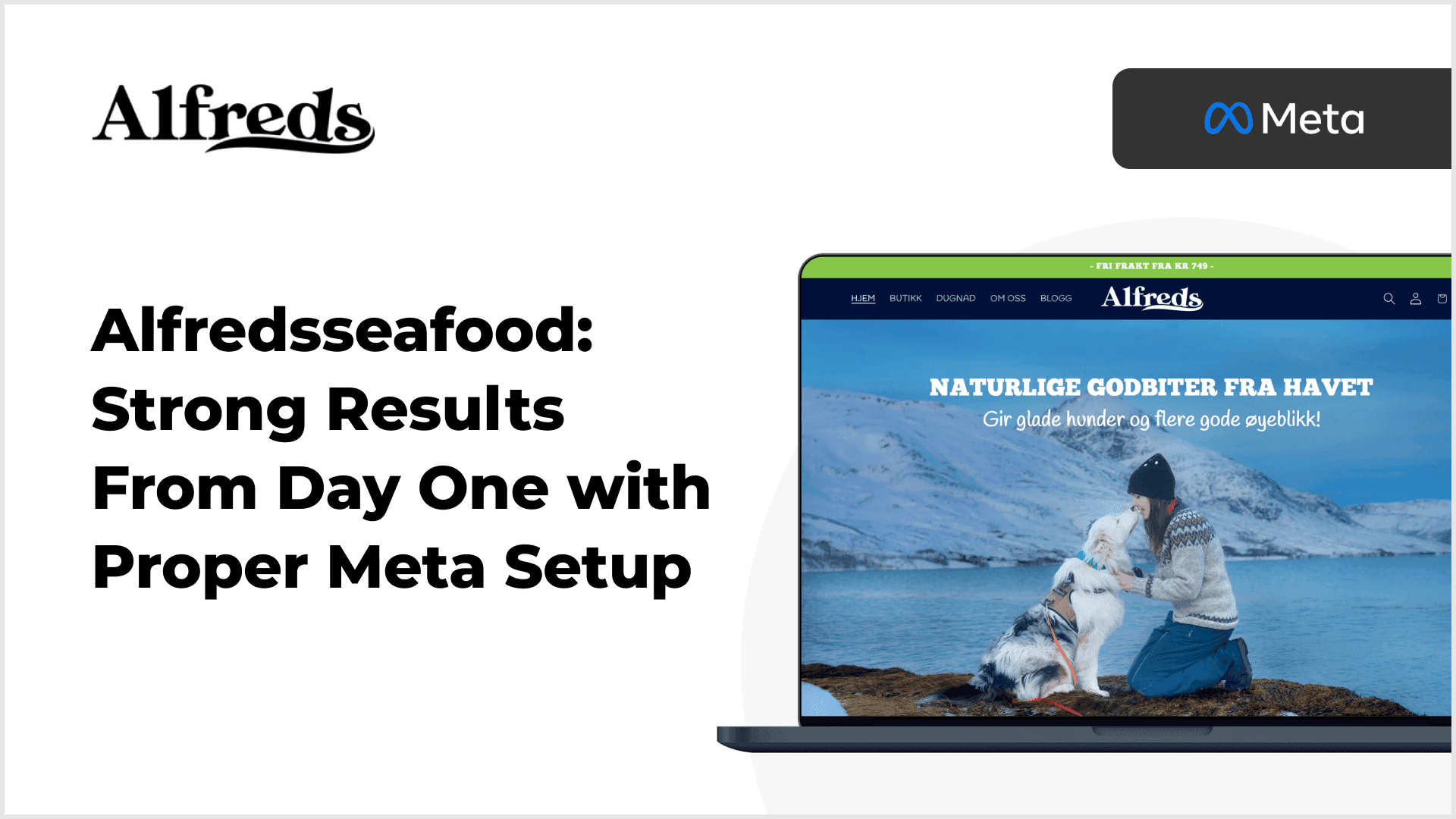 Alfredsseafood Alfredsseafood