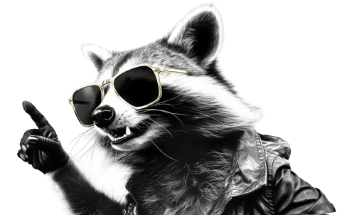 racoon racoon